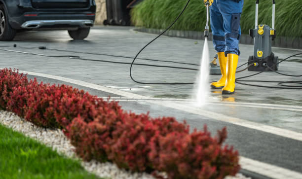 Best Exterior Home Cleaning  in Enterprise, WV